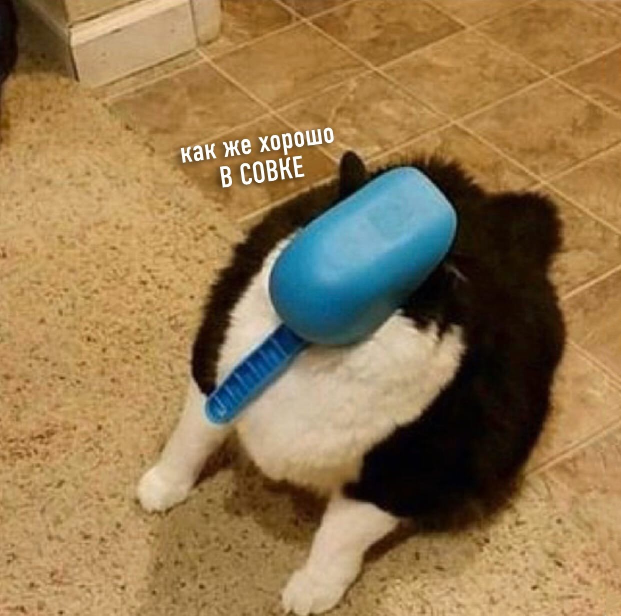 RYE.jpeg